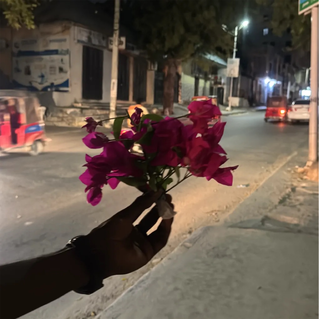 Purple blooms held on a Mogadishu street